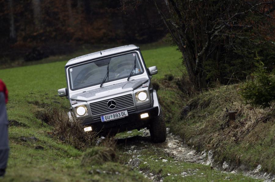  Mercedes-Benz G-Class 1990 года  (фото 174 из 260)